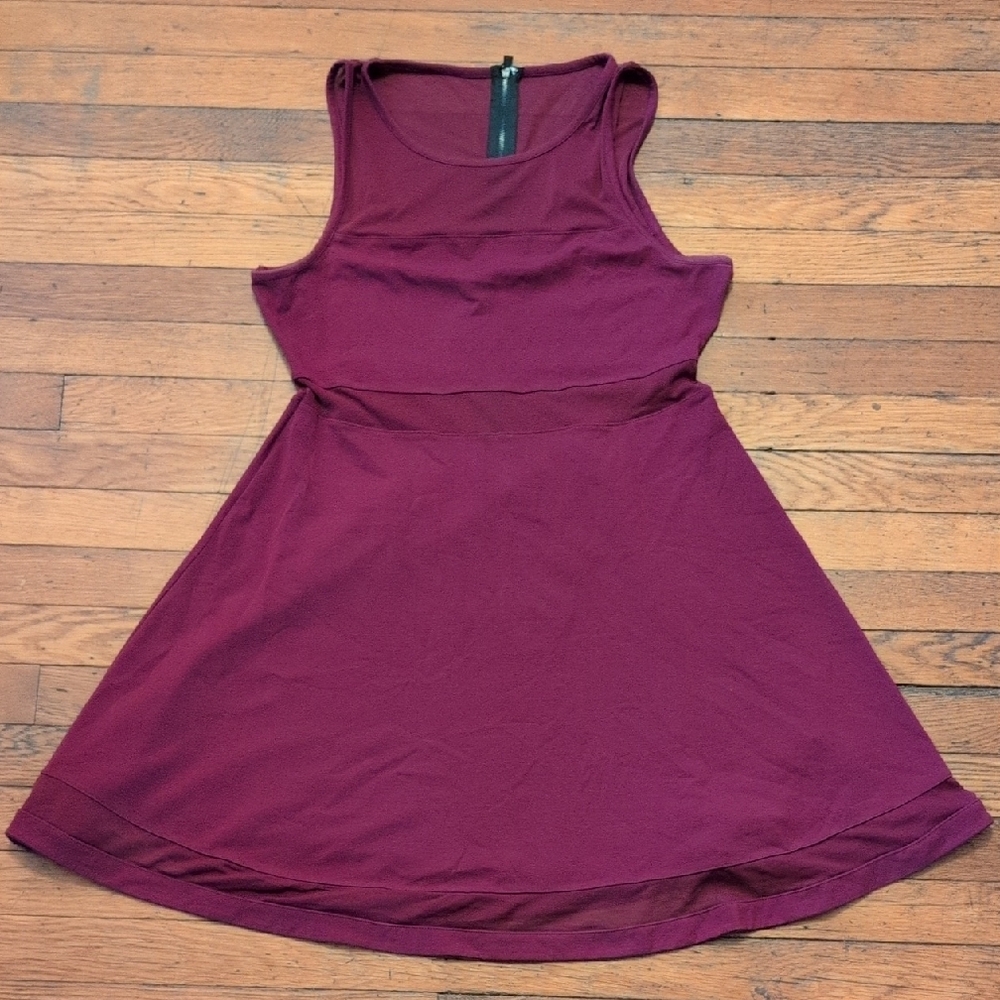 Express Burgundy Mesh Skater Dress
